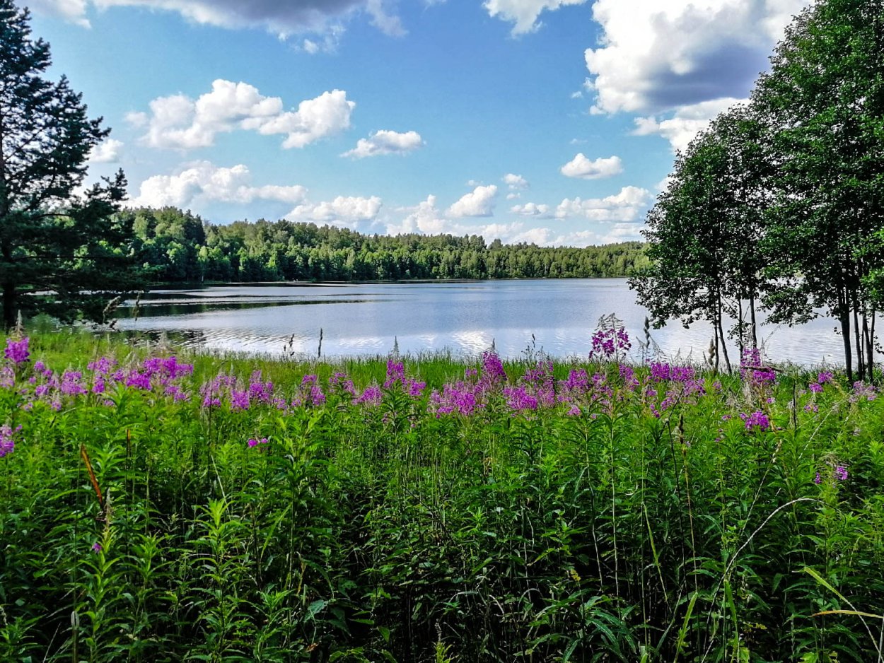 Озеро Светлояр, Нижегородская область, Воскресенский район