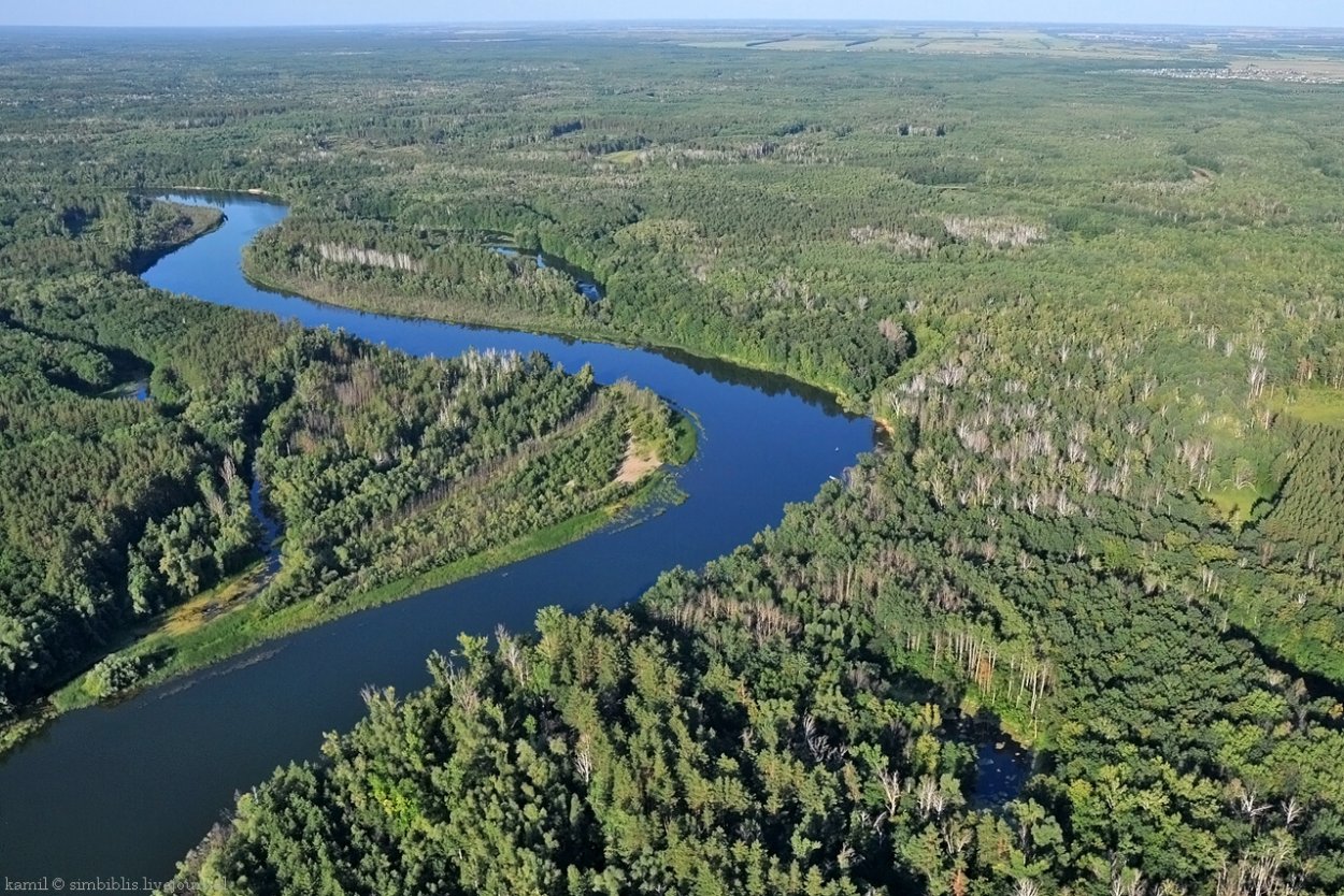 Река большой Черемшан Димитровград