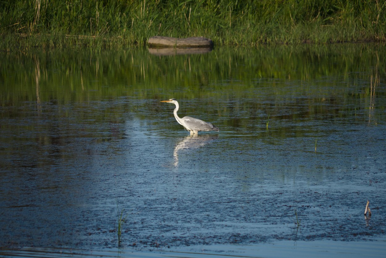 Река Еруслан