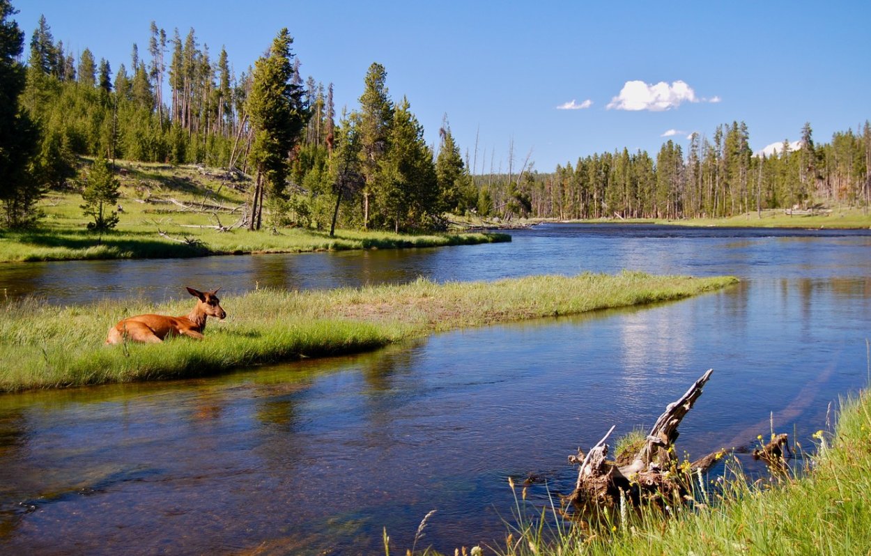Озеро Оленье озеро Одинцово