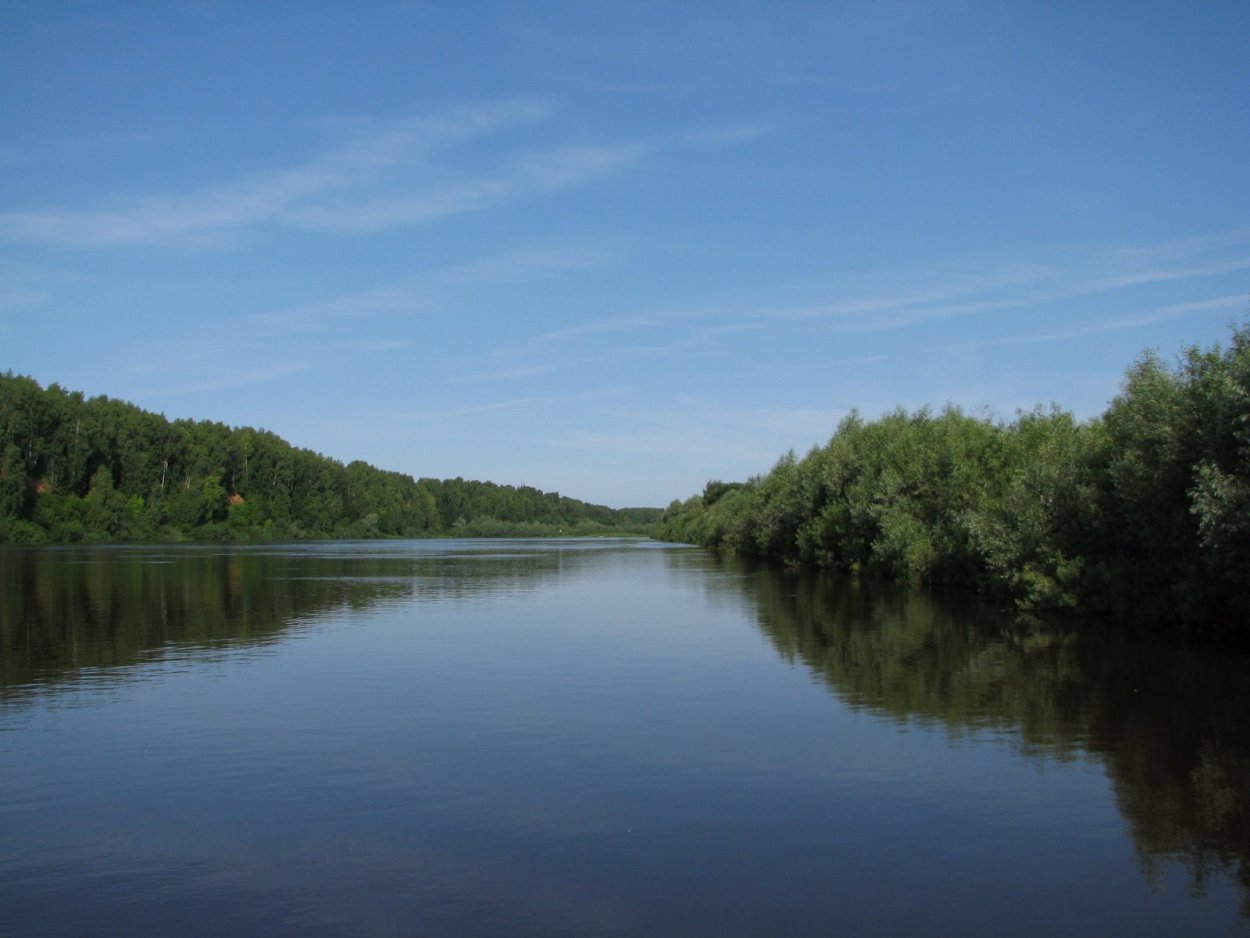 Река Ветлуга Шарья