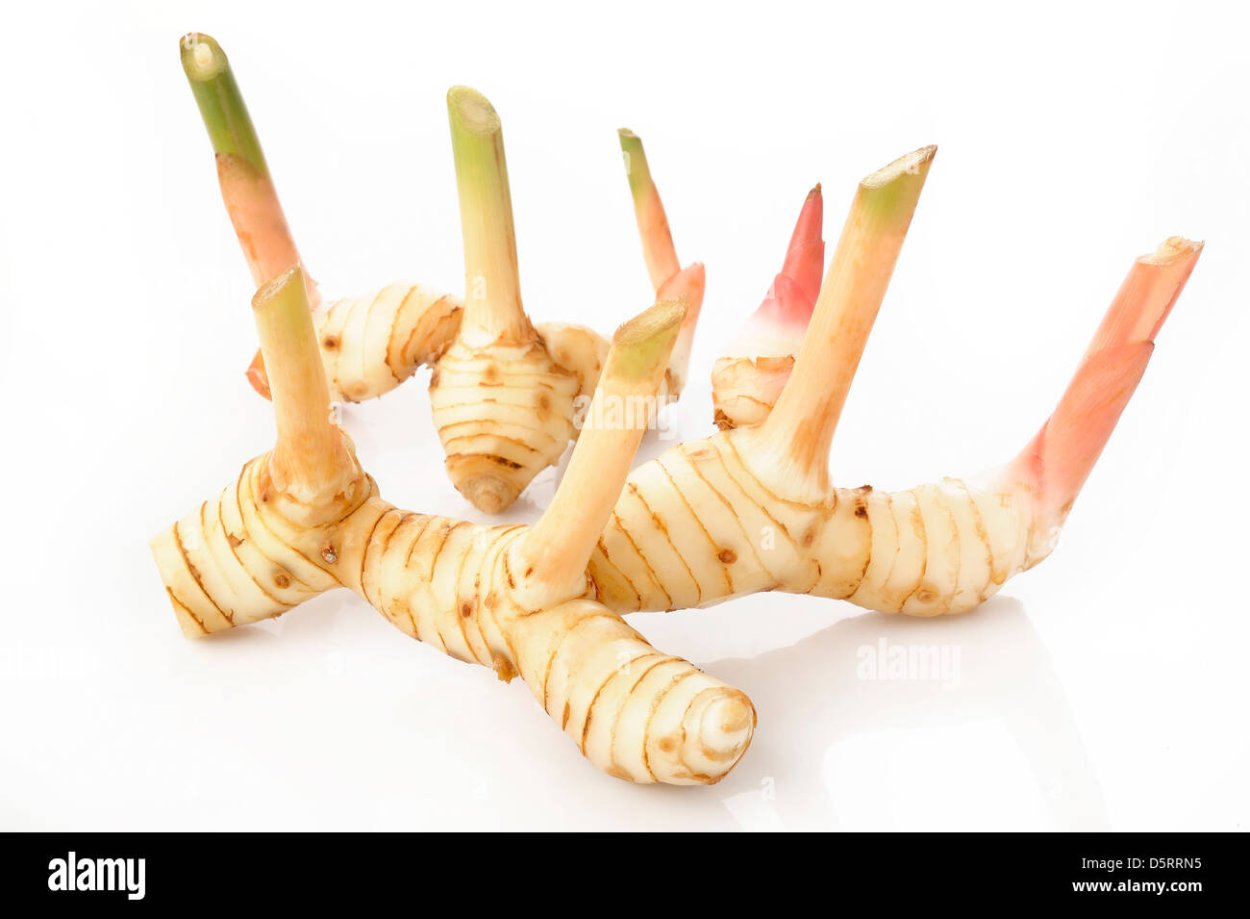 Кангал серый