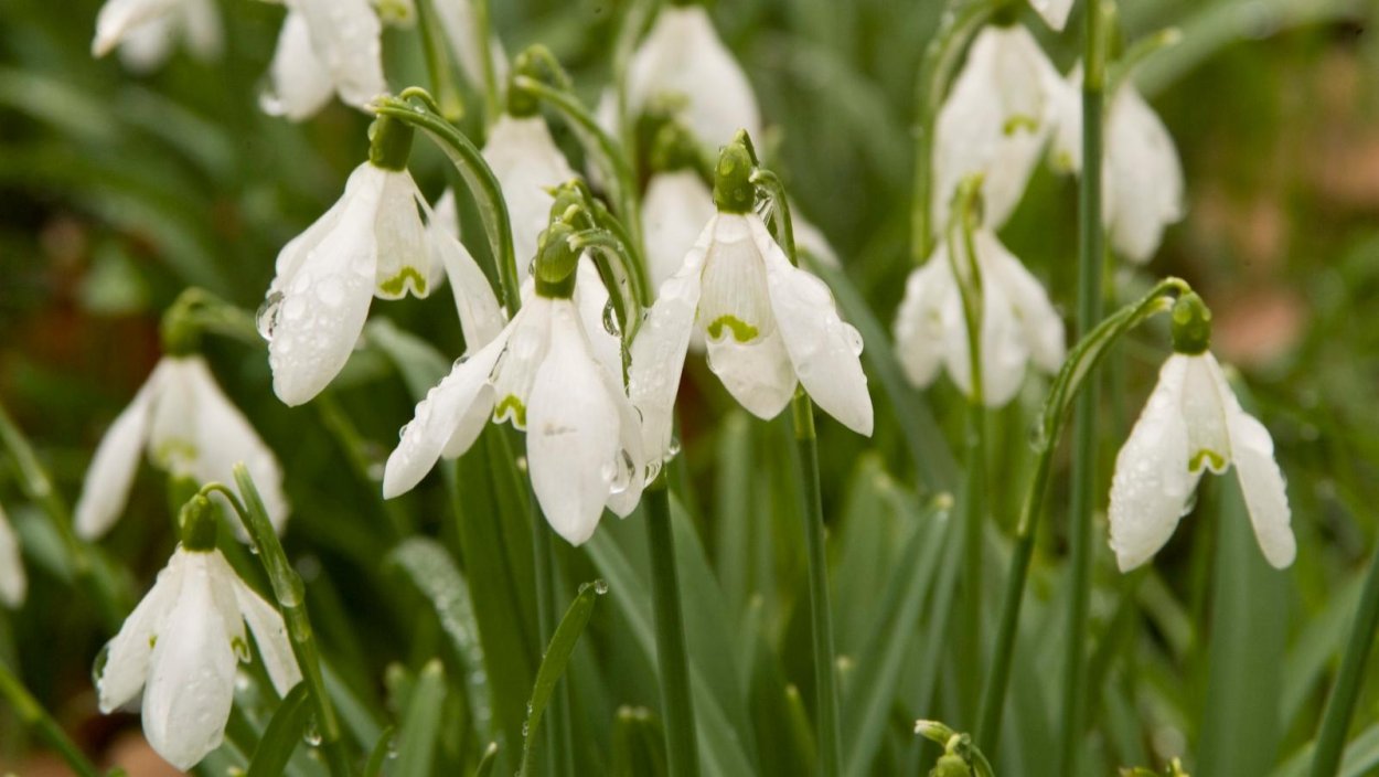 Майкараган Волжский