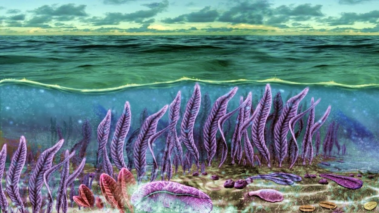 Протерозойская Эра Кембрий