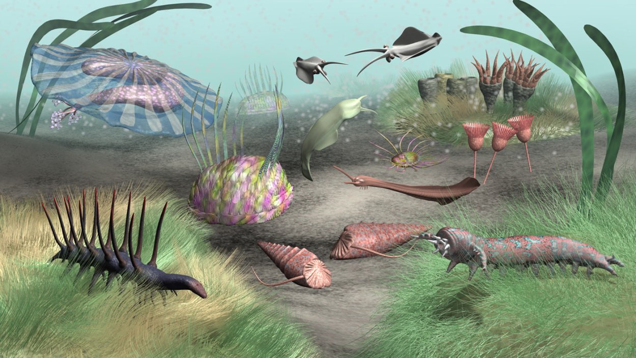 Ранний палеозой Кембрий