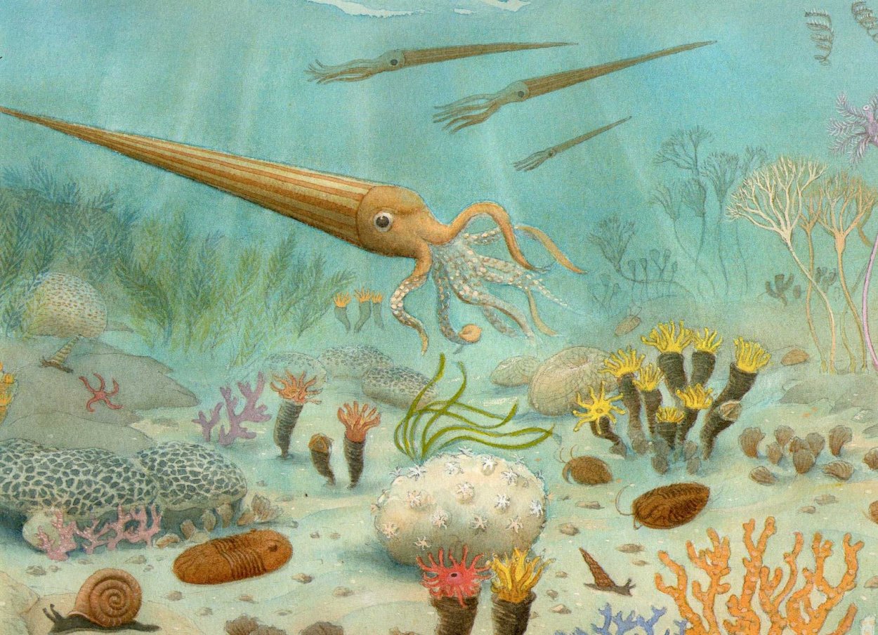 Каменноугольный период палеозойской эры растения