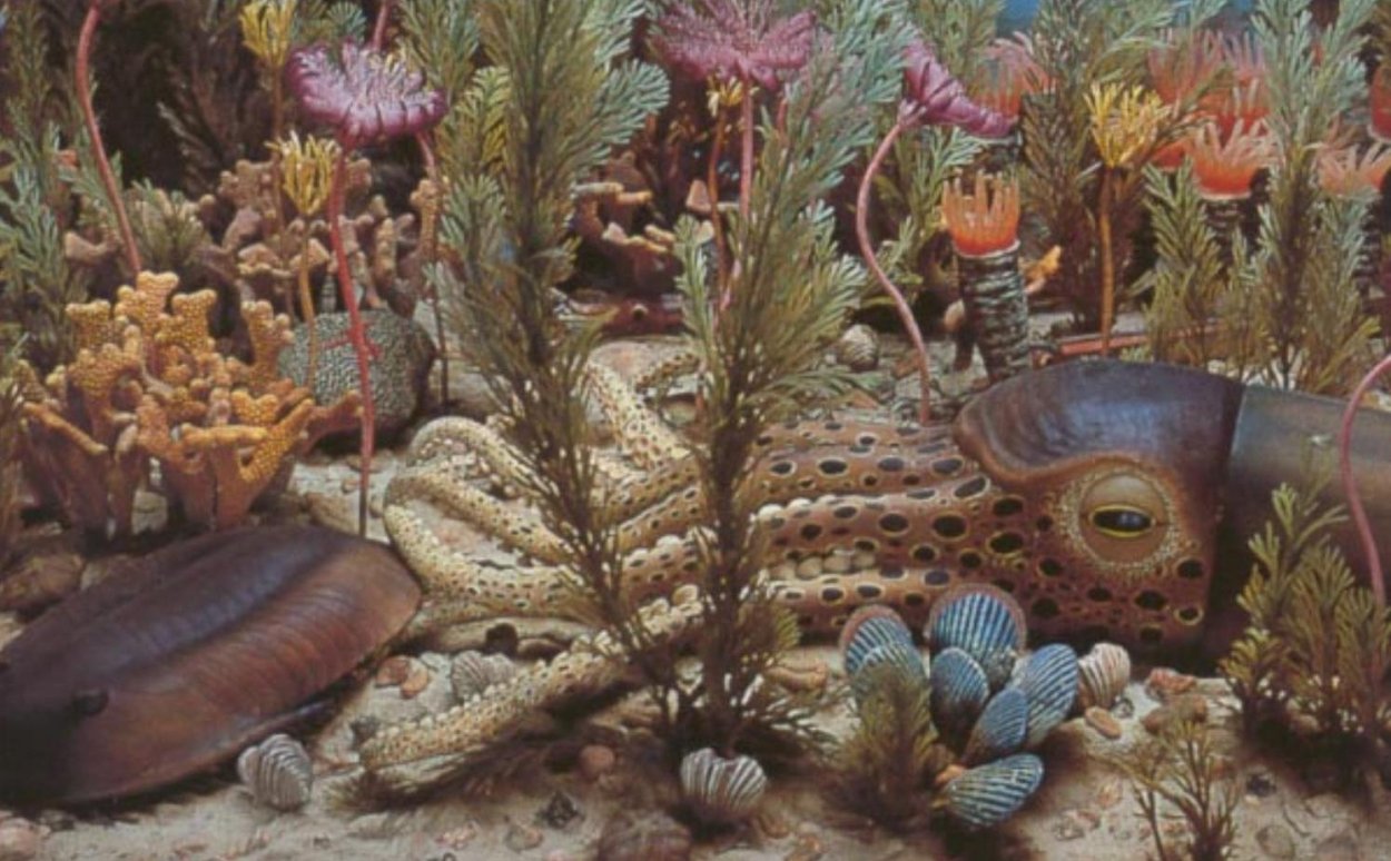 Палеозойская Эра ордовикский период