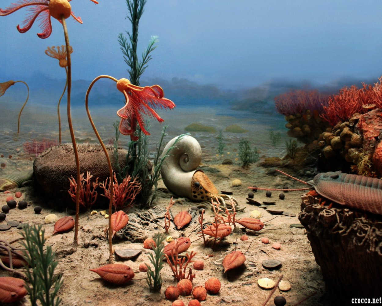 Ордовикский и силурийский периоды