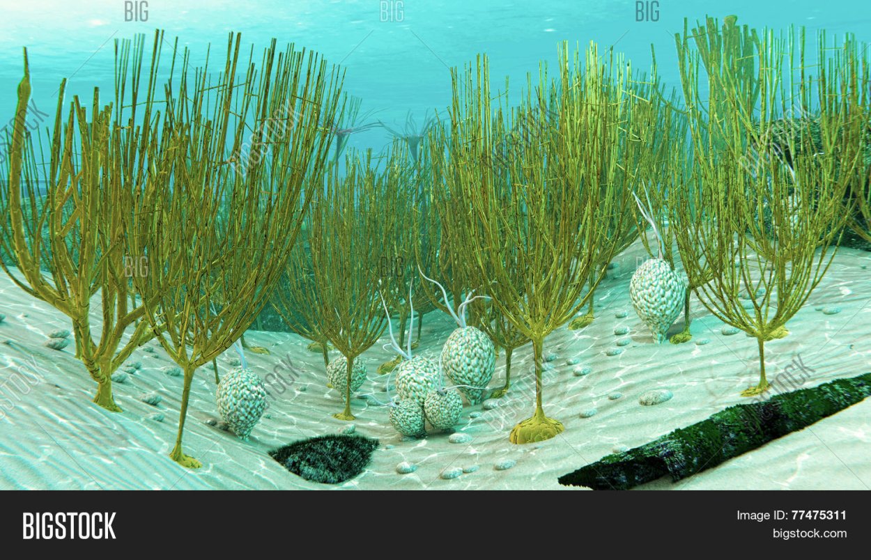 Палеозойская Эра Силур