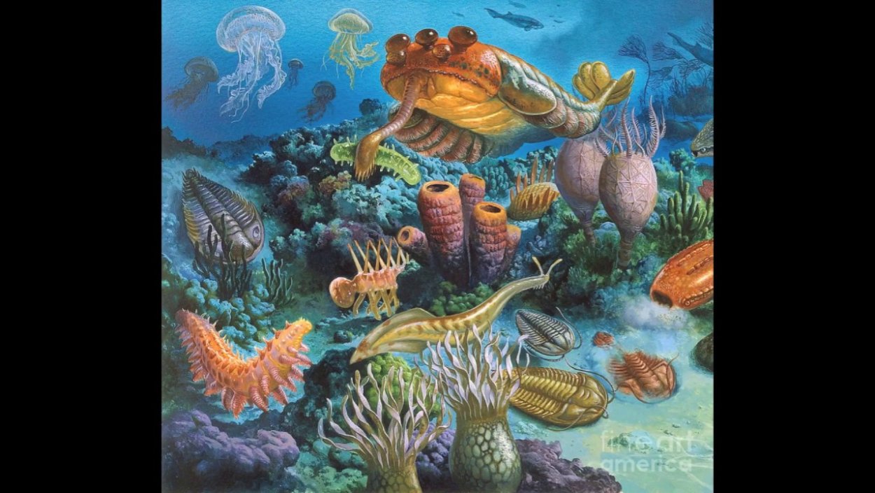 Кембрийский период в протерозойскую эру