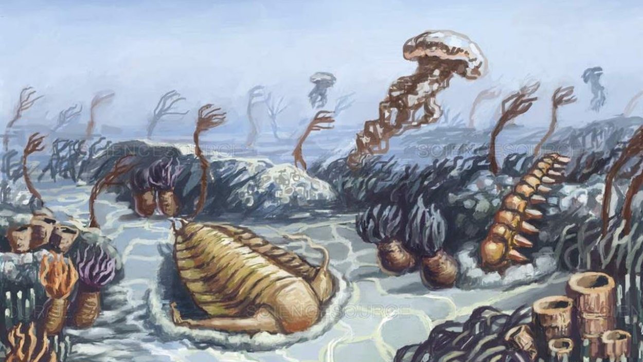 Палеозойская Эра ордовикский период