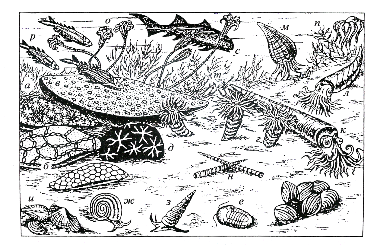 Морские лилии Ордовик