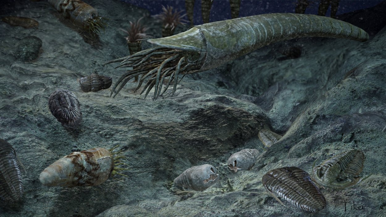 Палеозойская Эра Силур