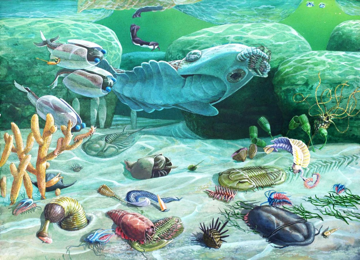 Кембрийский период в протерозойскую эру