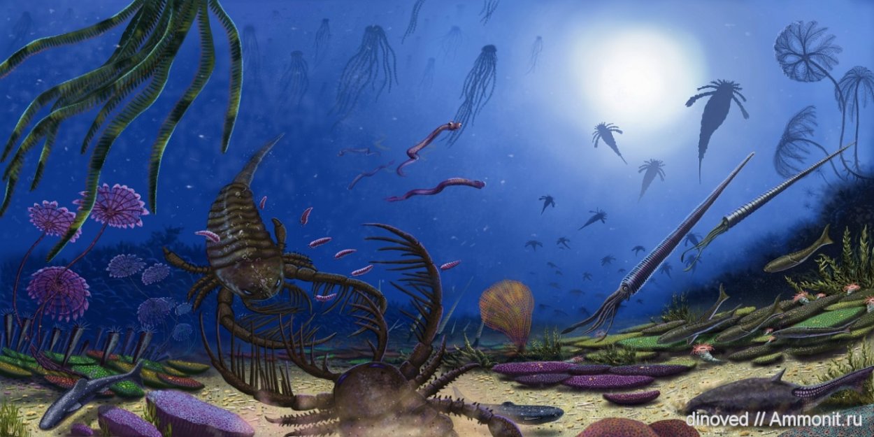 Палеозой период силурийский