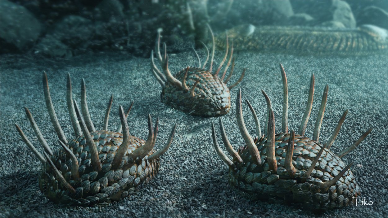 Палеозойская Эра Кембрийский период