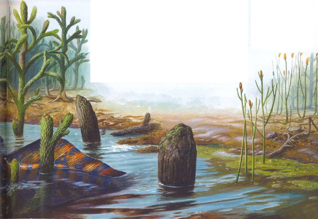 Эволюция растительного и животного мира в палеозойскую эру