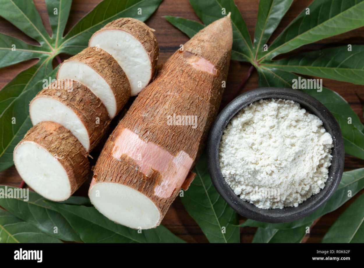 Тапиока овощ