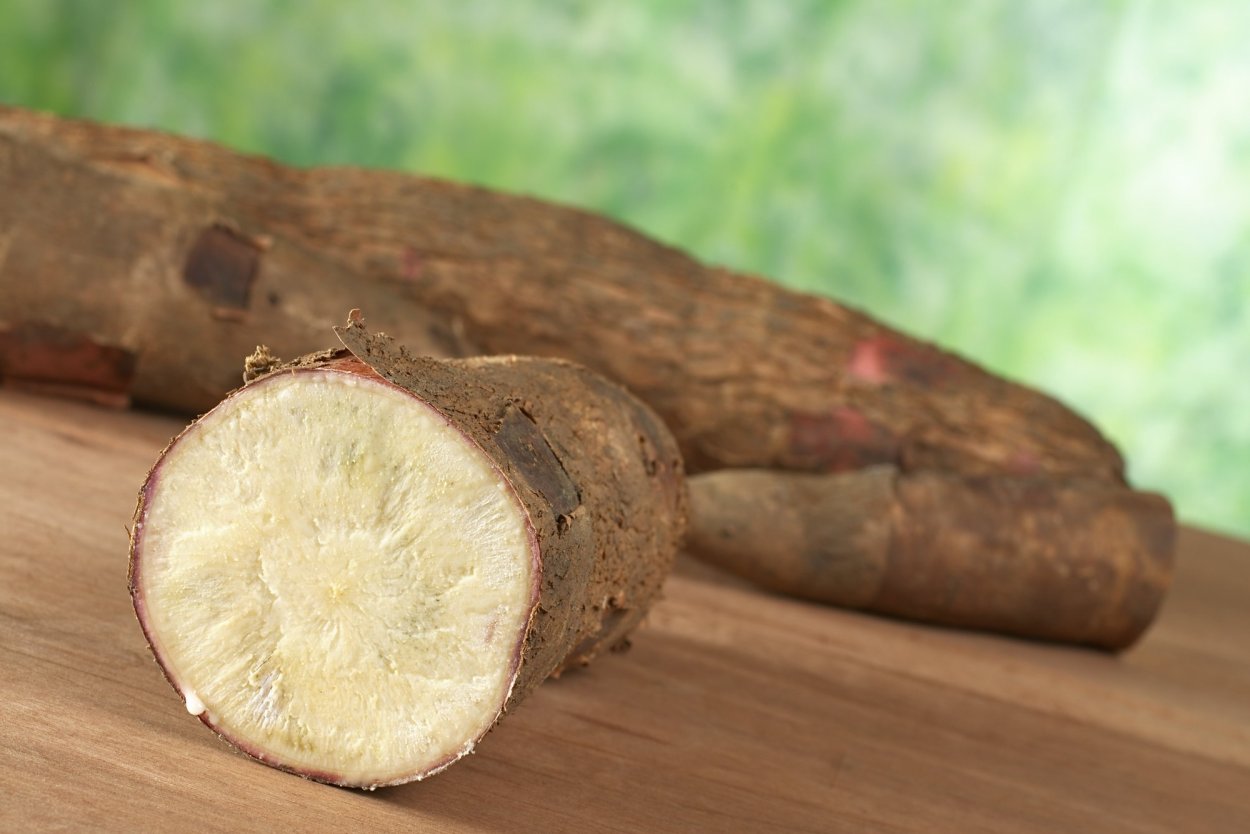 Тапиока фото