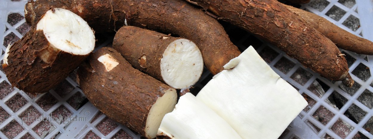 Жемчуг Боба