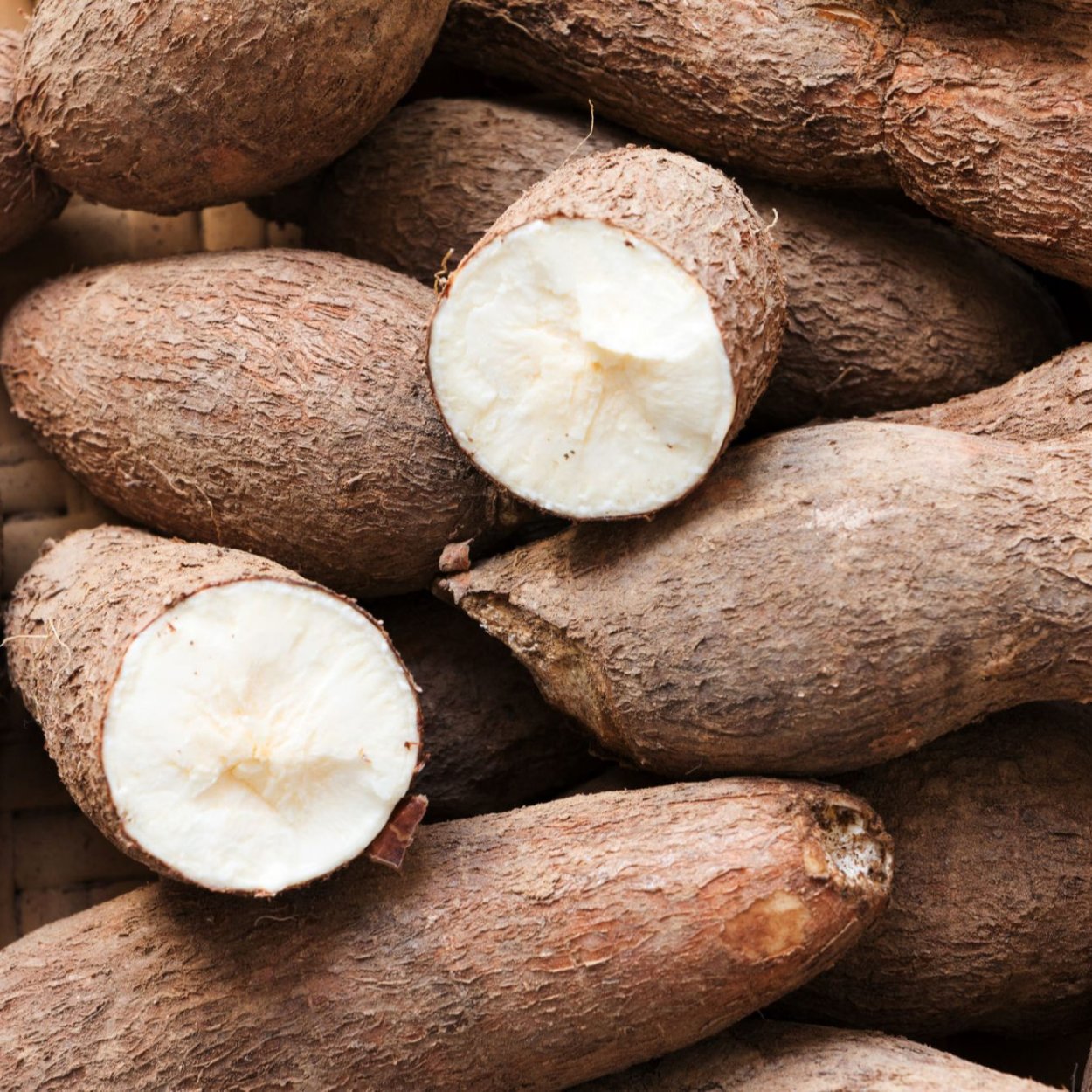 Клубни маниока фото