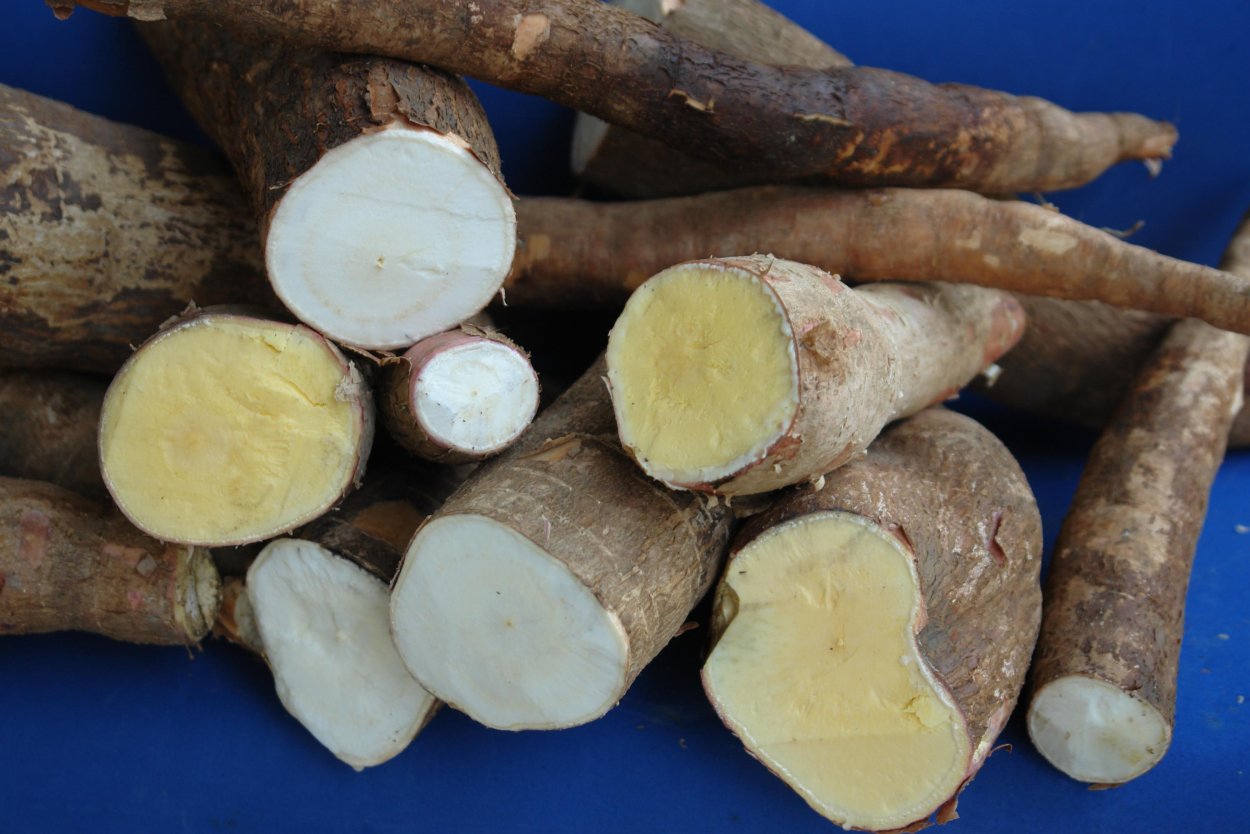 Бобы тапиока