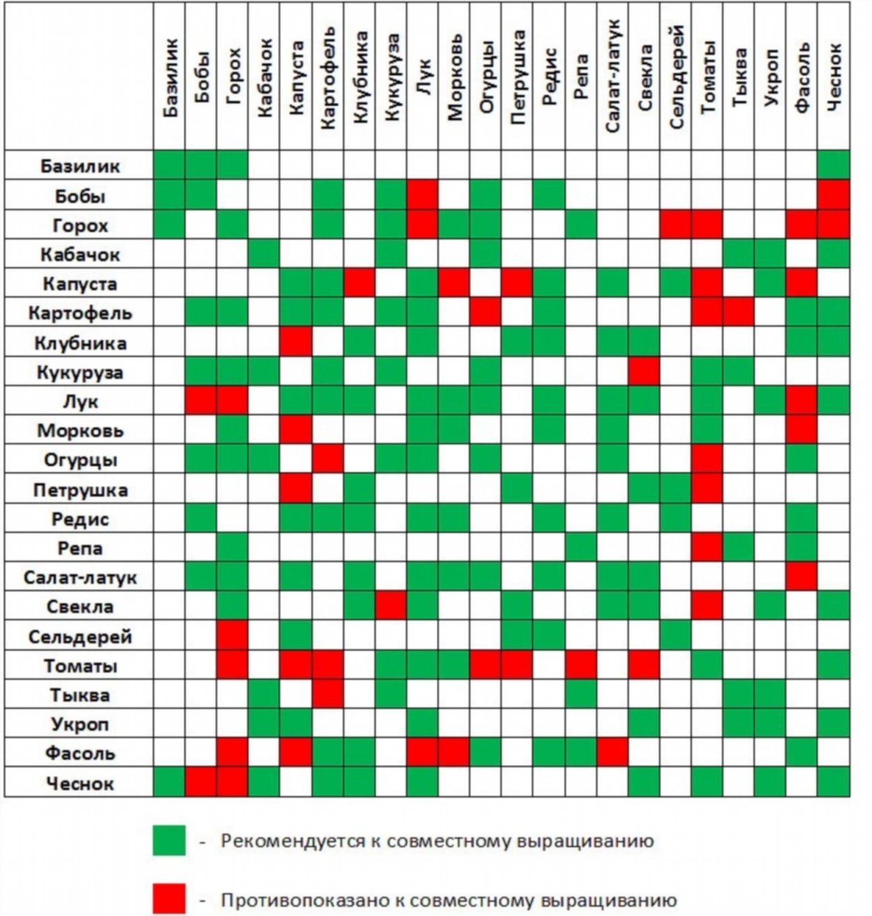 Таблица совместимости овощей при посадке