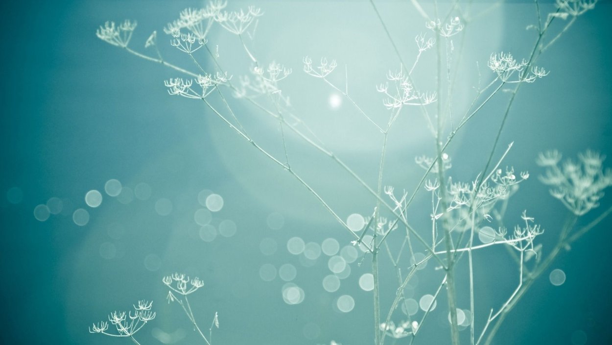 Нейтральный фон