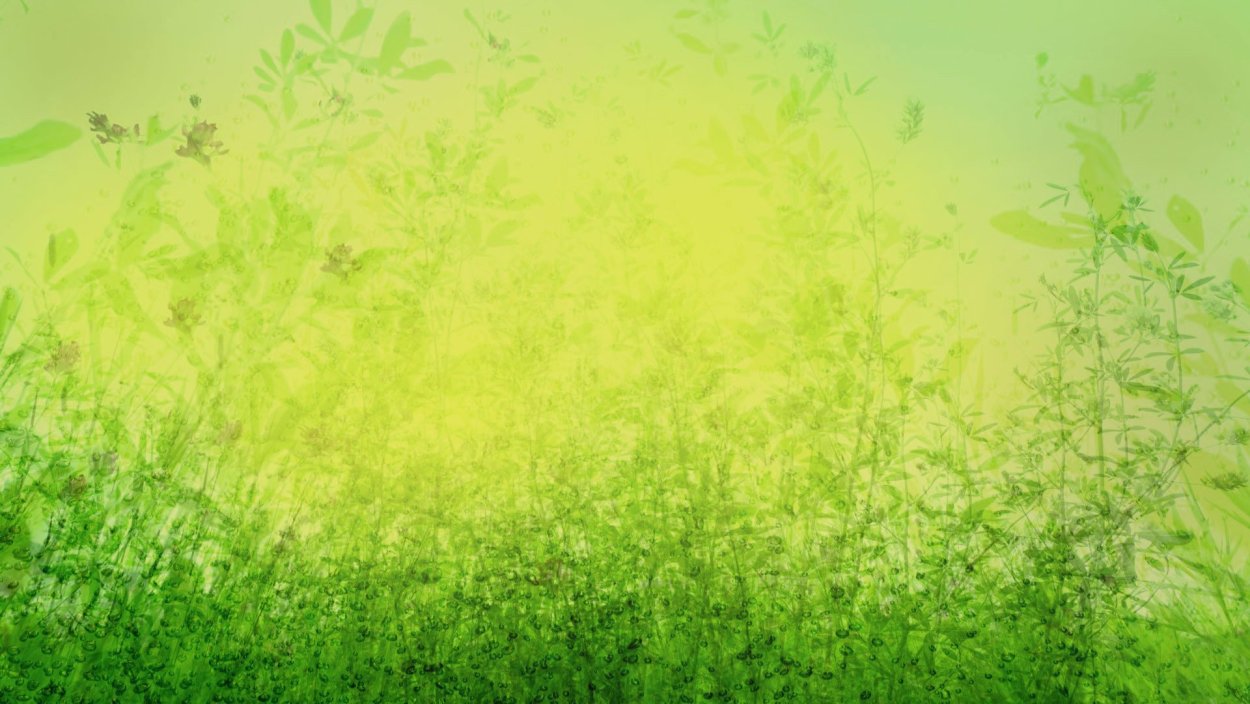 Фон для презентации трава