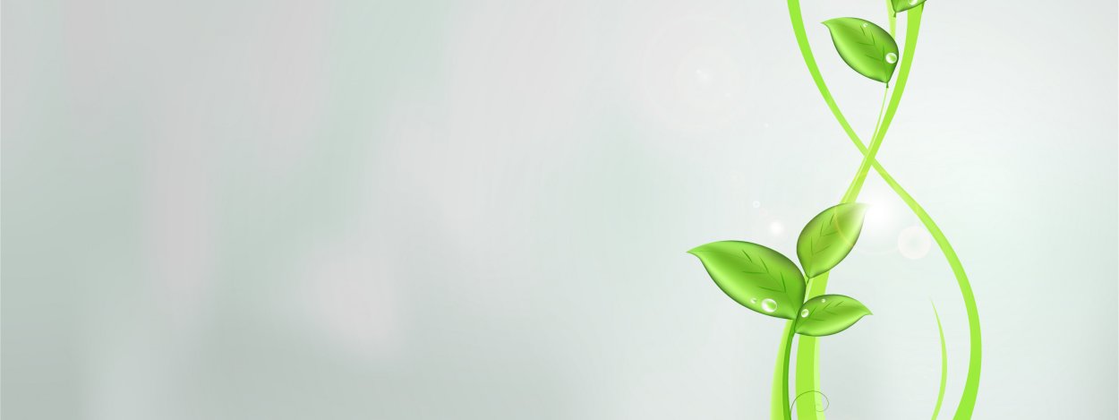 Фон для презентации