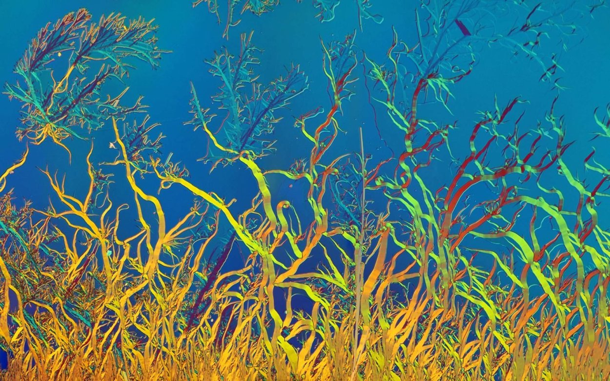 Подводный мир