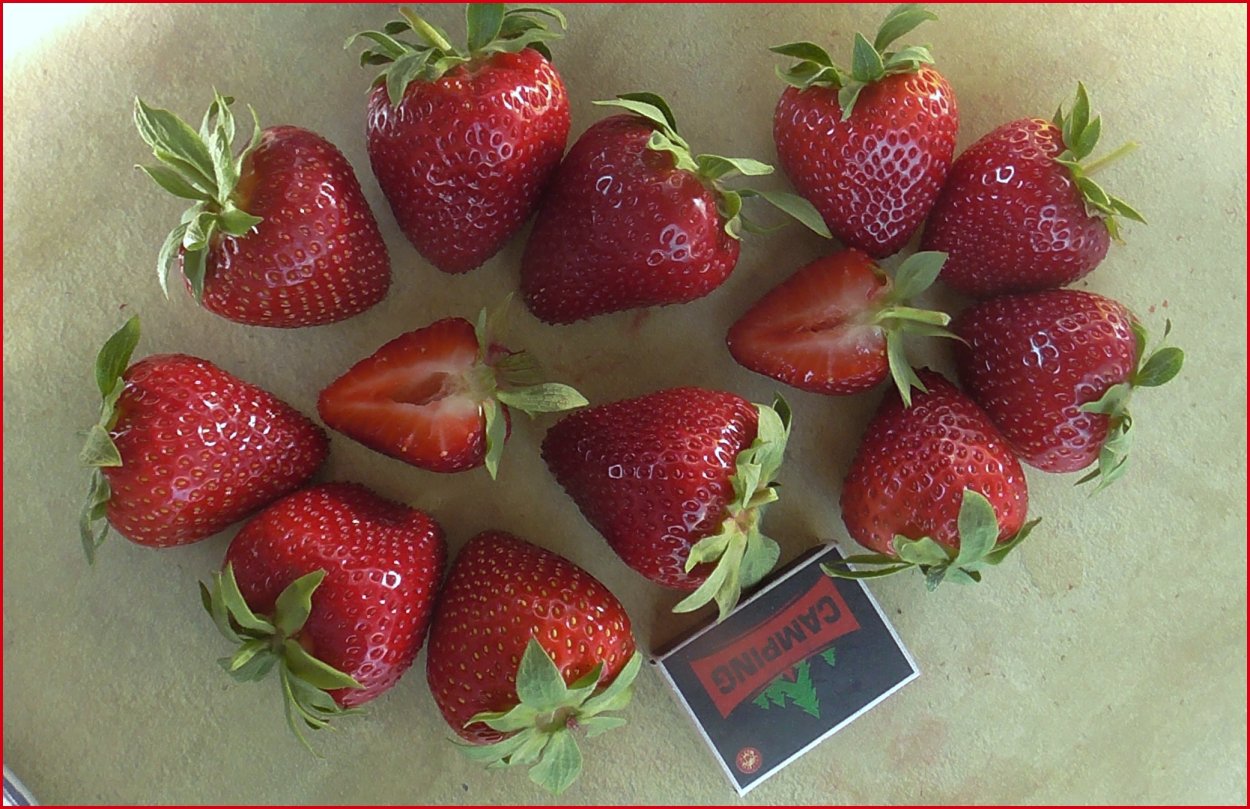 Клубника Марисоль