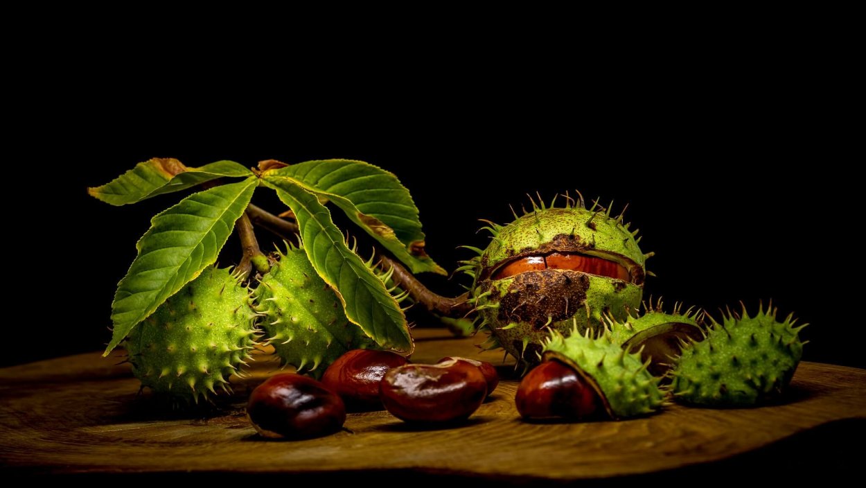 Дурман обыкновенный семена