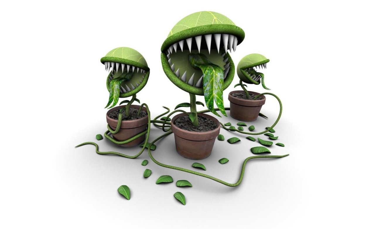 Кактус с иглами крючками