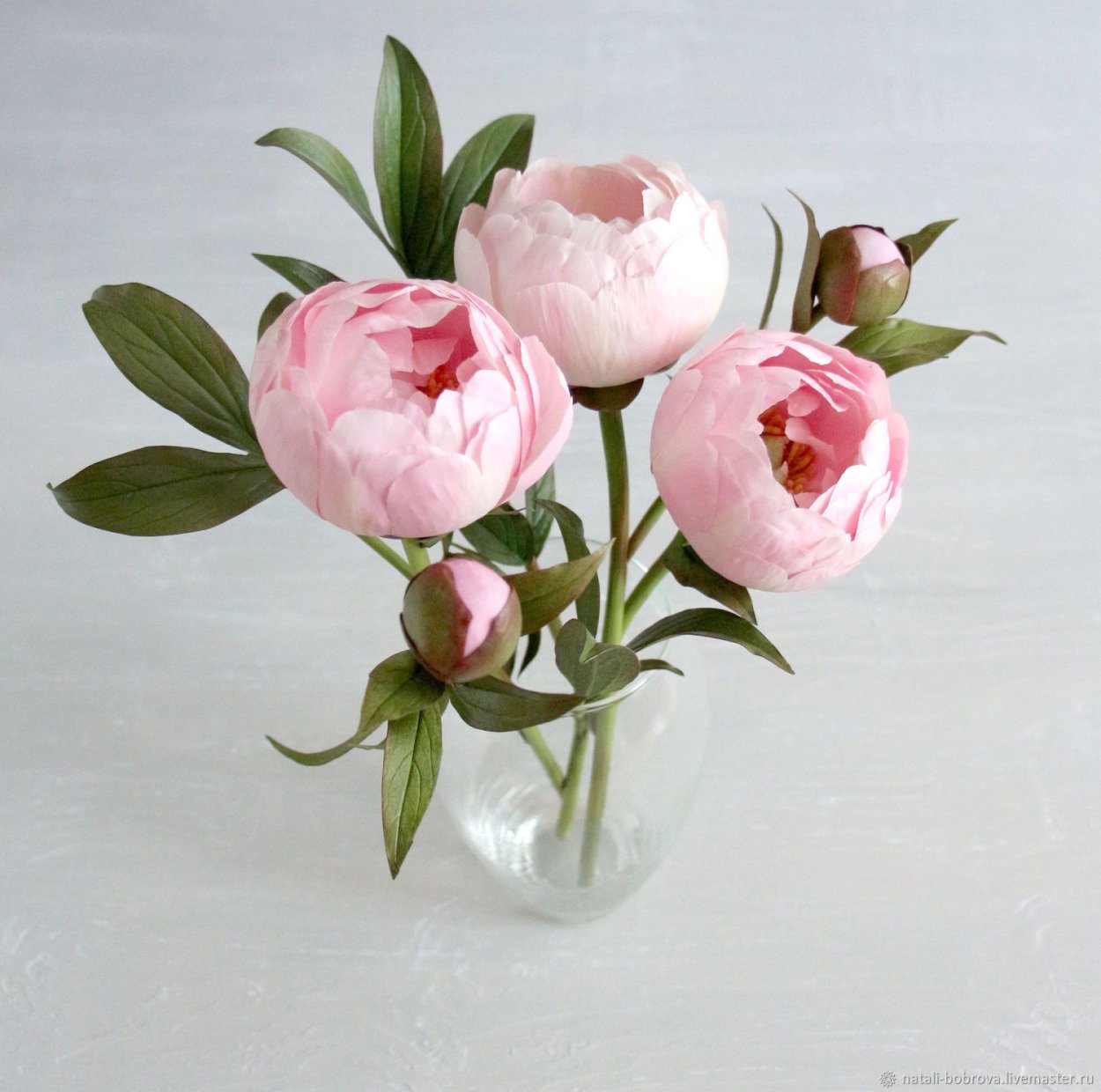 Пионы на темном фоне