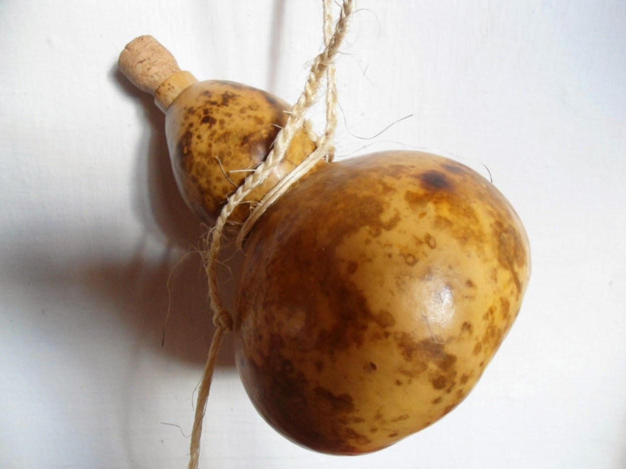 Лагенария птичий домик