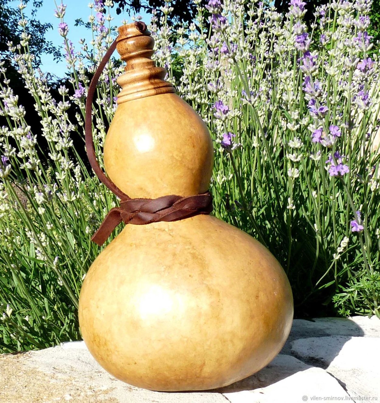 Лагенария цветок