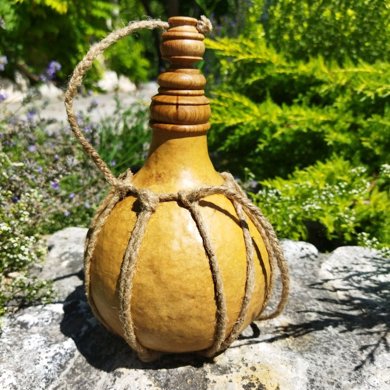 Кабачок лагенария