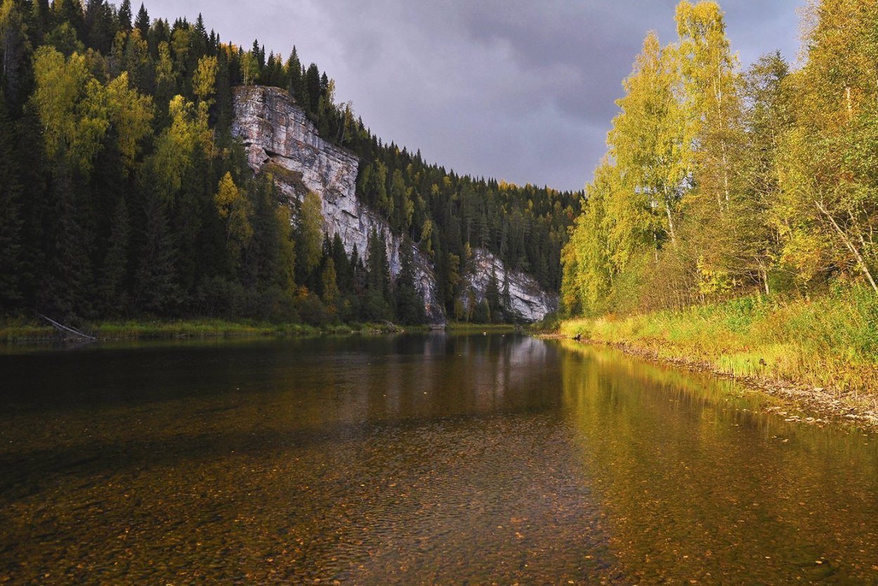 Лес на реке Вишера Пермского края