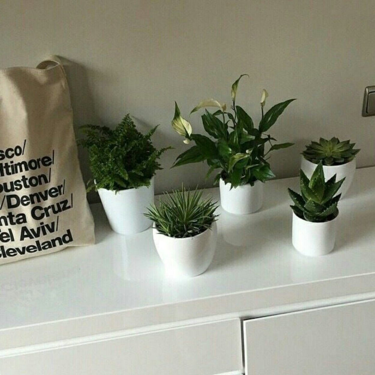 Эстетика с цветами и растениями