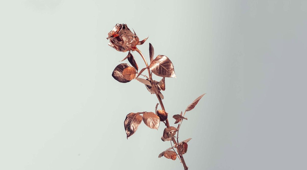 Тропические листья