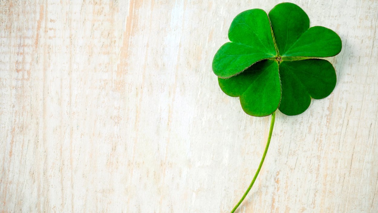 Красный четырехлистный Клевер