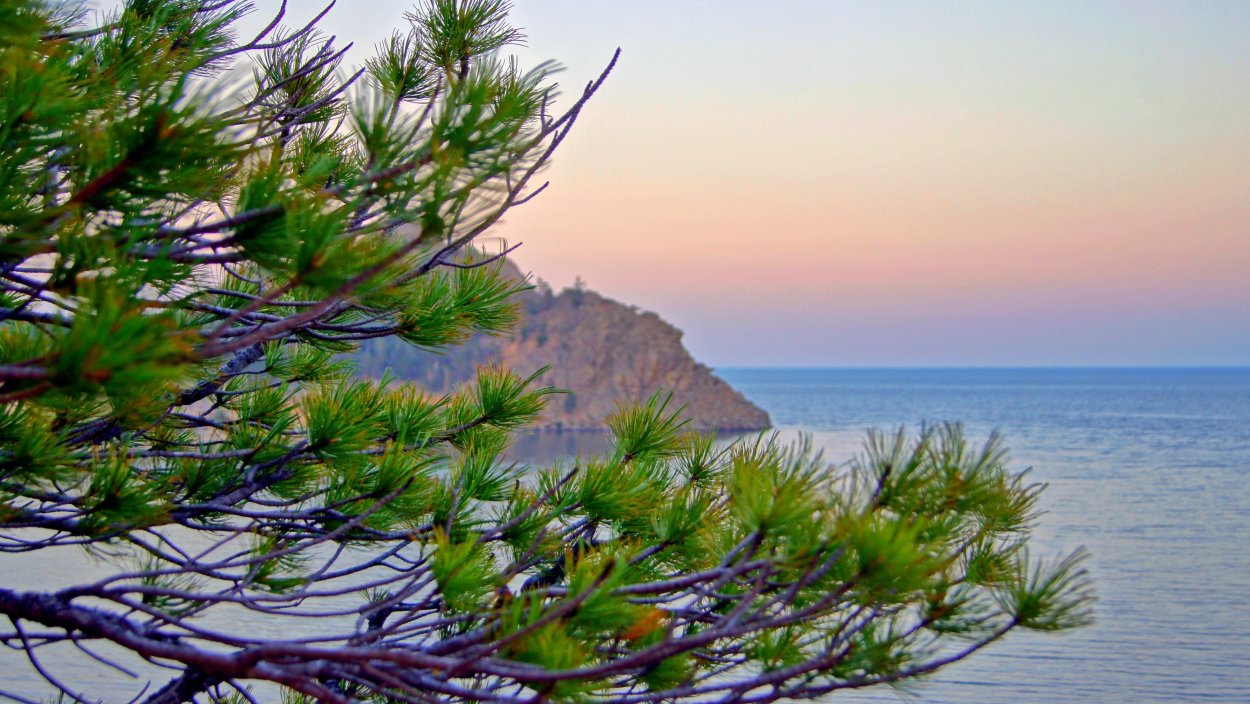 Эндемики острова Ольхон