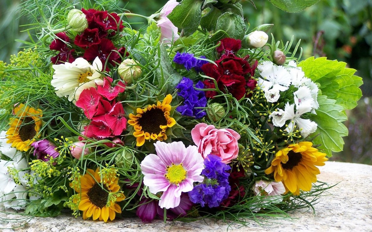 Роза микс колор