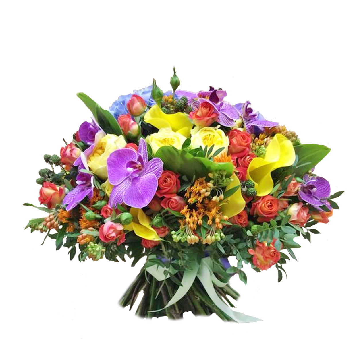 Роза Кения кустовая