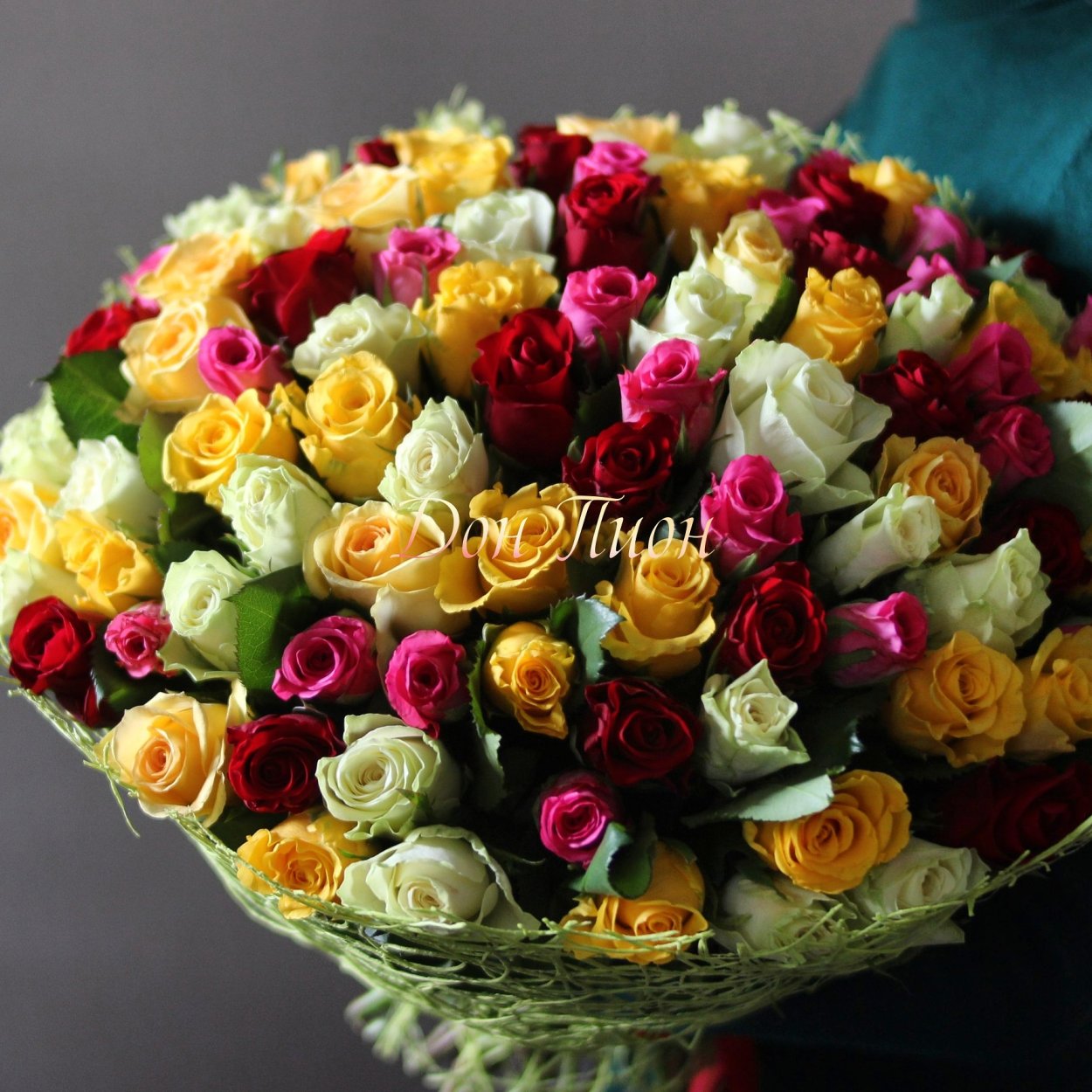 Роза Кения микс