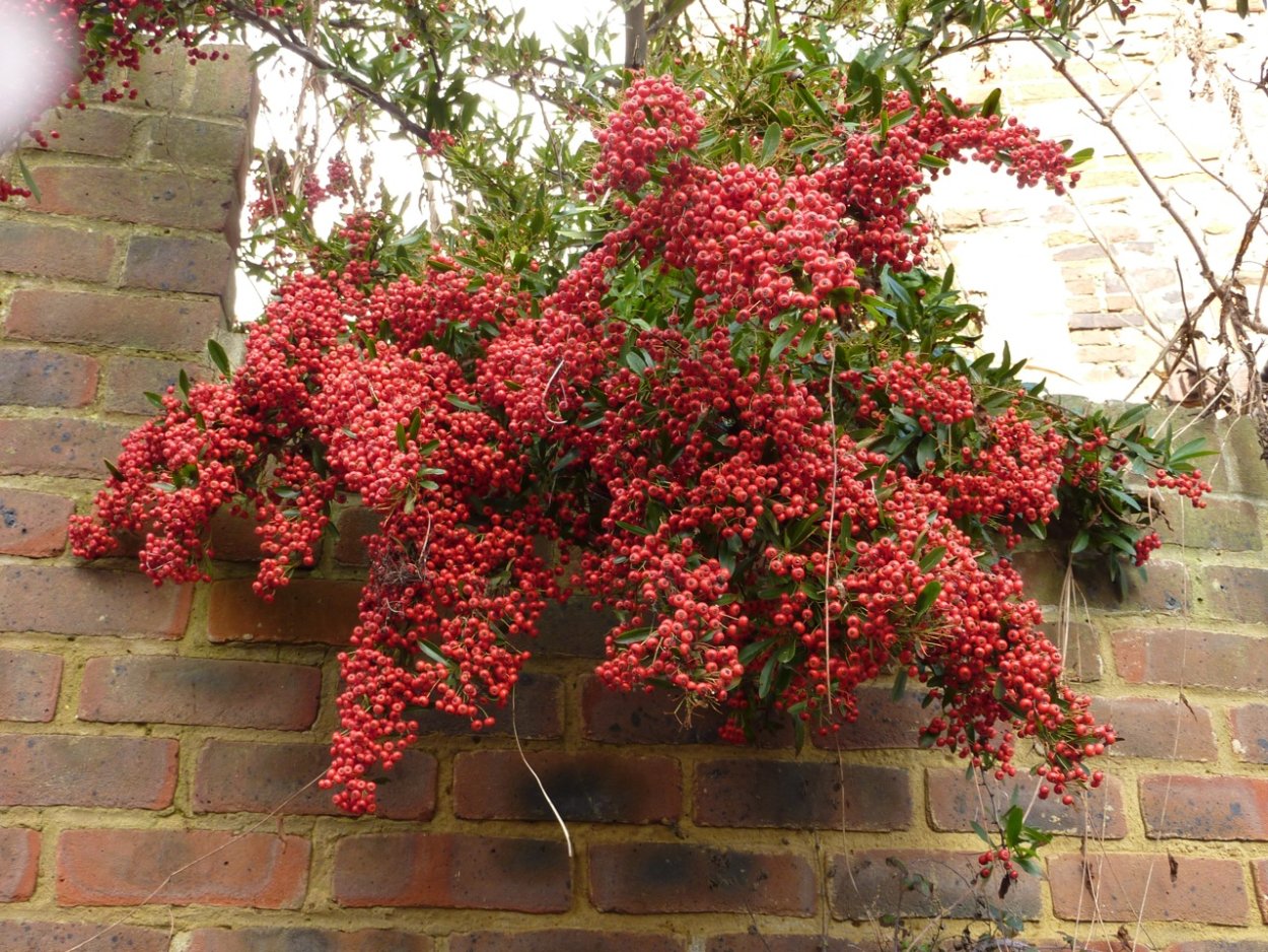 Эстетика Инстаграм зеленый