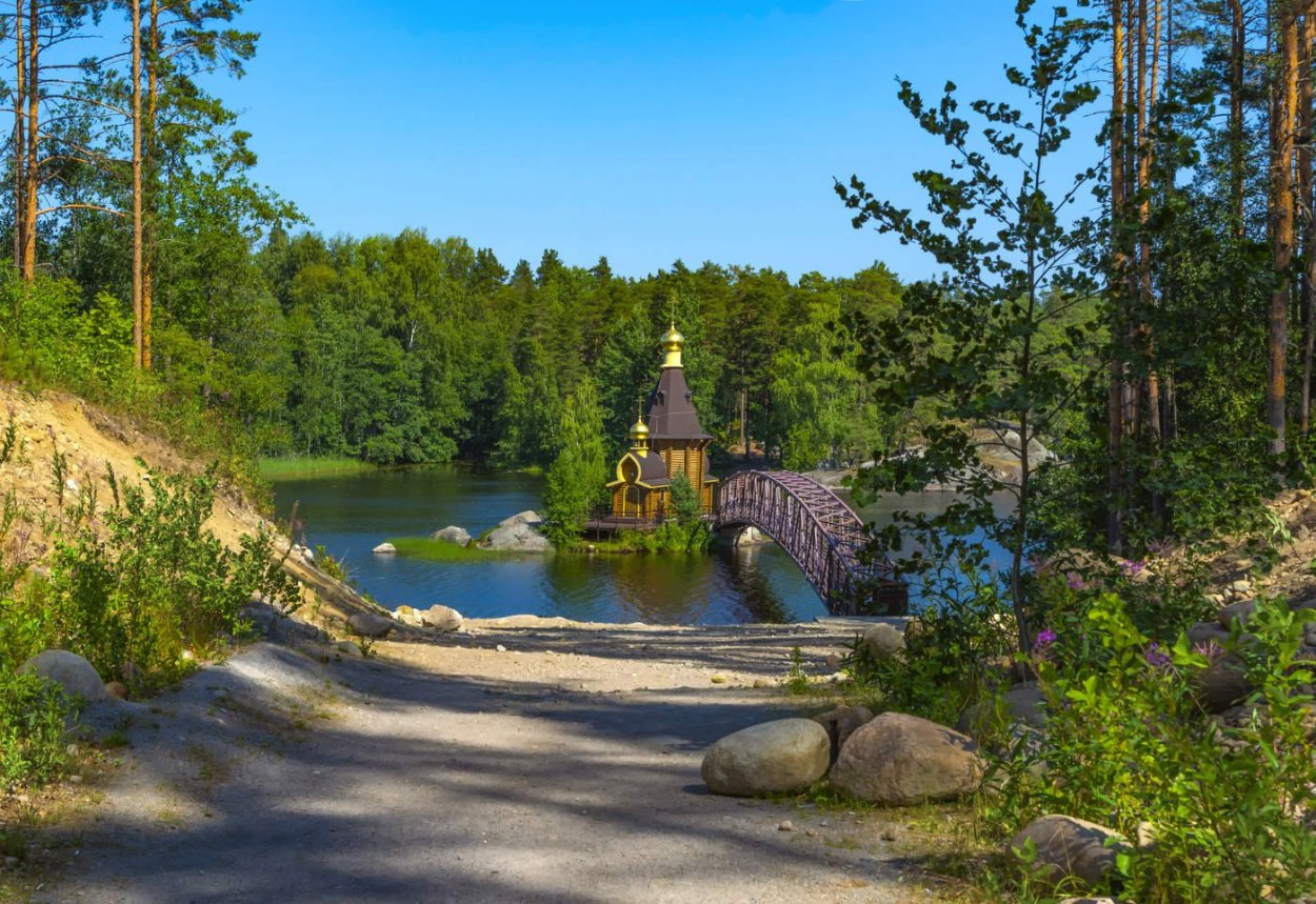 Смешные Суккуленты