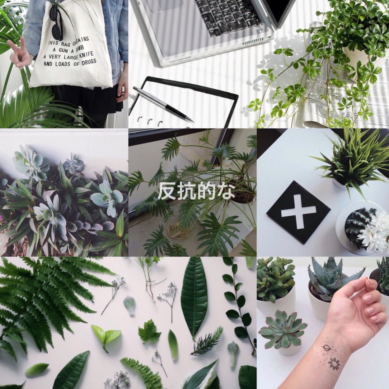 Композиции с эвкалиптом