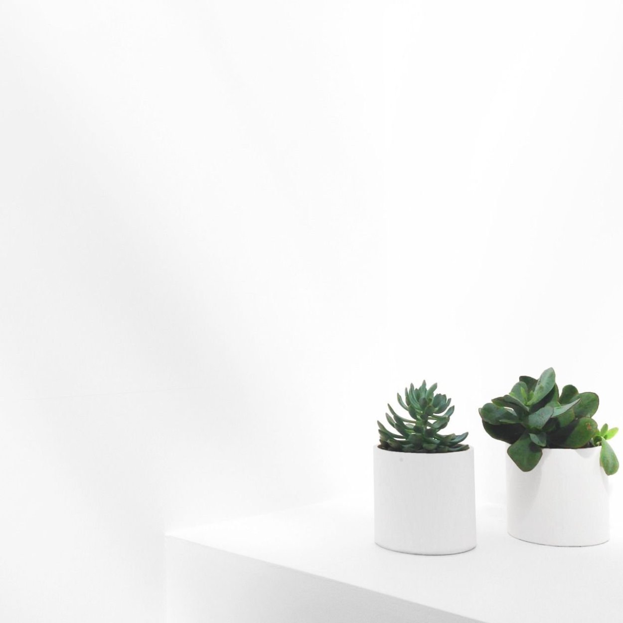 Букет с гортензией и орхидеей